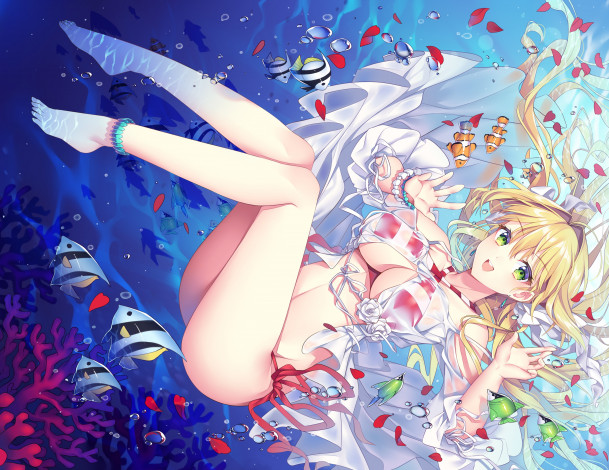 Обои картинки фото аниме, fate, stay night, saber, extra