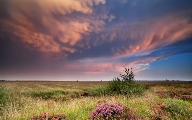 Обои картинки фото природа, пейзажи, низкие, облака, в, небе, над, полем