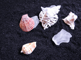 Картинка разное ракушки +кораллы +декоративные+и+spa-камни