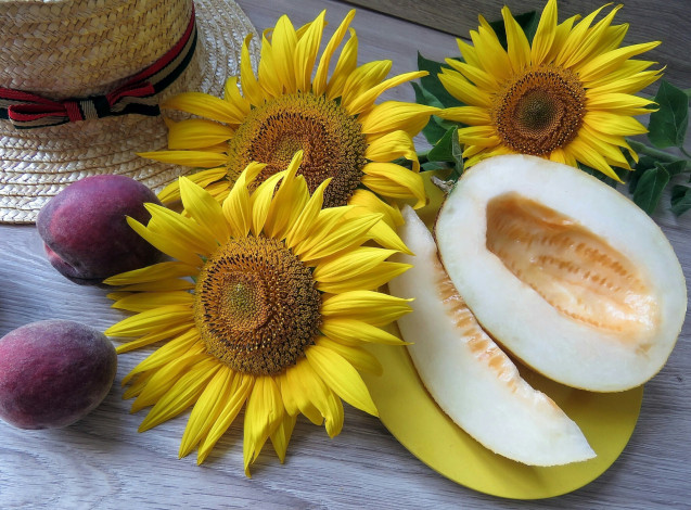 Обои картинки фото еда, натюрморт, wood, дыня, слива, натюморт, шляпа, подсолнух