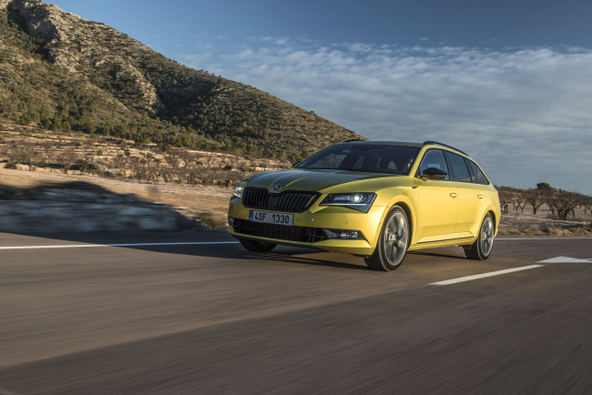 Обои картинки фото автомобили, skoda