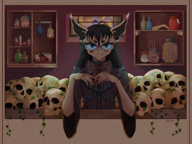 Обои картинки фото фэнтези, существа, девушка, уши, черепа, полки