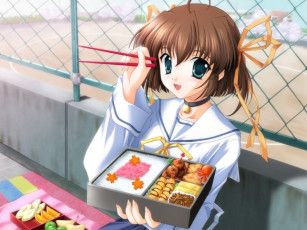 Картинка аниме da capo