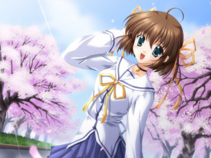 Картинка аниме da capo