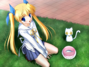 Картинка аниме da capo