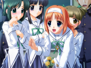 Картинка da capo аниме