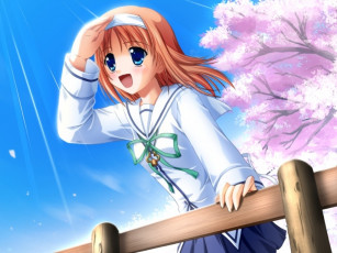 Картинка da capo аниме