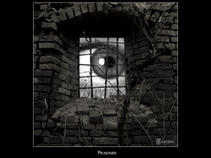 Картинка prisoner разное