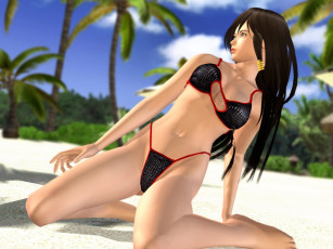 Картинка видео игры dead or alive xtreme