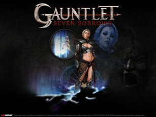 Картинка видео игры gauntlet seven sorrows