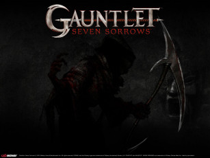 Картинка видео игры gauntlet seven sorrows