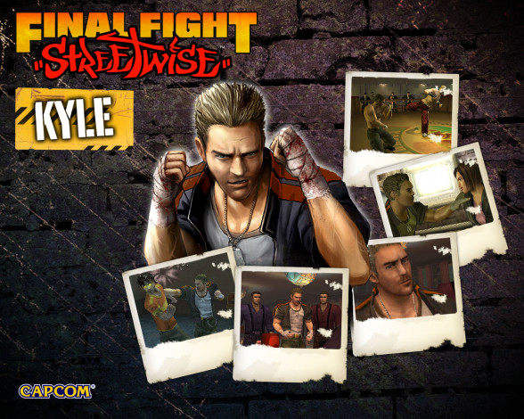 Обои картинки фото видео, игры, final, fight, streetwise