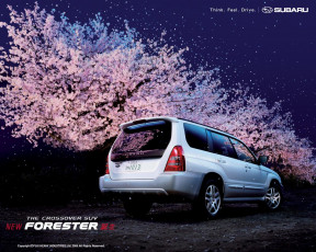 Картинка автомобили subaru