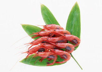 Картинка еда