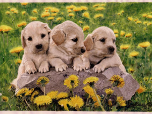 Картинка рисованные животные