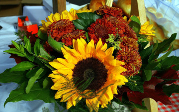 Картинка цветы букеты композиции подсолнух