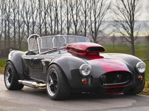 Картинка автомобили ac cobra shelby деревья дорога автомобиль