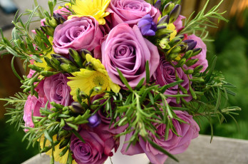 Картинка цветы букеты композиции розы фрезии герберы