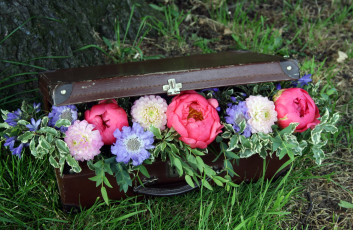 Картинка цветы букеты композиции пионы георгины agapanthus