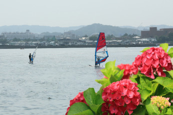 обоя спорт, водный спорт, море, гортенхия