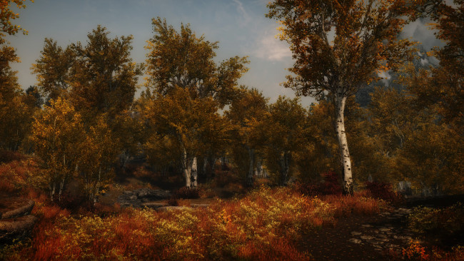 Обои картинки фото 3д графика, природа , nature, поляна, лес