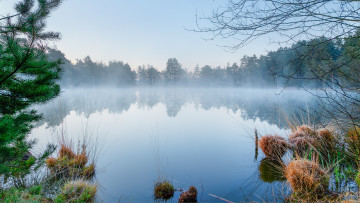 Картинка природа реки озера река лес