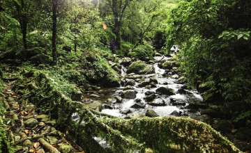 Картинка природа реки озера лес камни река