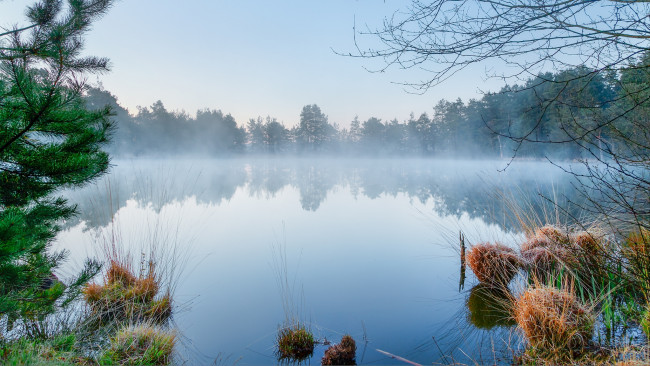 Обои картинки фото природа, реки, озера, река, лес