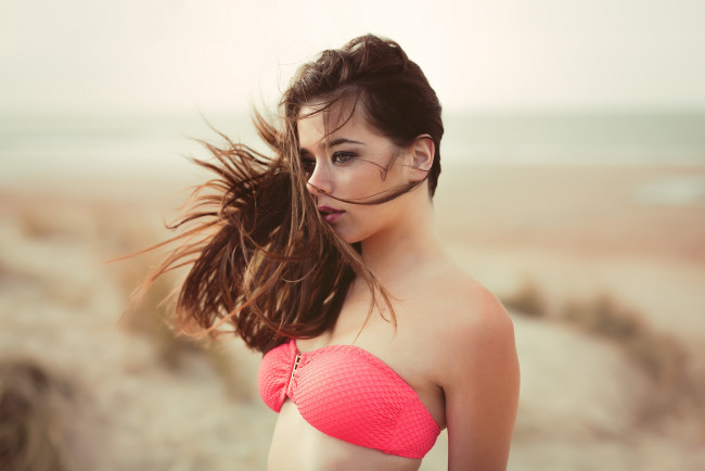 Обои картинки фото девушки, -unsort , брюнетки,  шатенки, взгляд, лицо