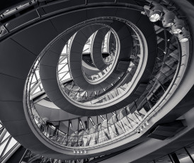 Картинка интерьер холлы +лестницы +корридоры лестница