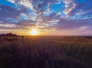 Картинка природа восходы закаты утро