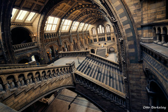 Картинка интерьер холлы +лестницы +корридоры лестница