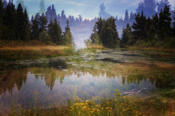 Картинка природа реки озера простор