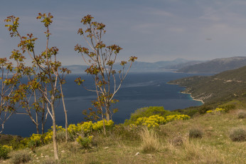 Картинка природа побережье пейзаж