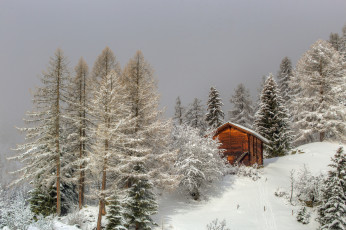 Картинка природа зима простор