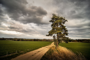 Картинка природа дороги простор