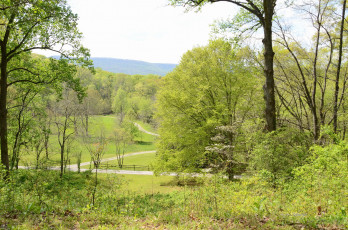 Картинка природа дороги весна