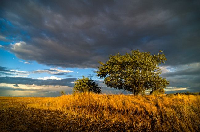 Обои картинки фото природа, пейзажи, простор