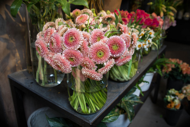 Обои картинки фото цветы, герберы, лепестки, ваза, букет, гербера