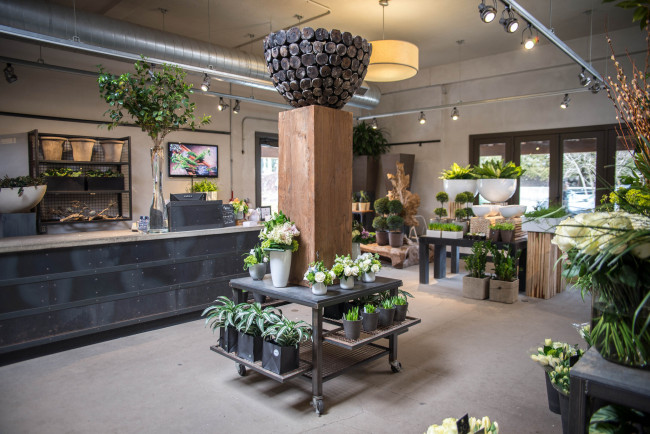 Обои картинки фото интерьер, - другое, стиль, дезан, цветы, цветочный, магазин