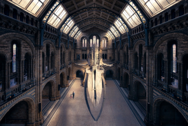 Обои картинки фото интерьер, дворцы,  музеи, музей