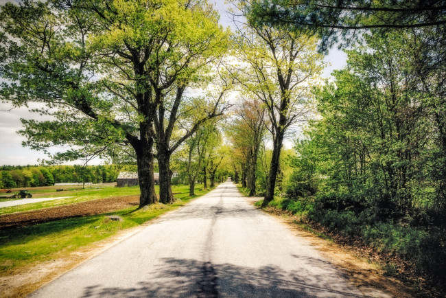 Обои картинки фото природа, дороги, простор