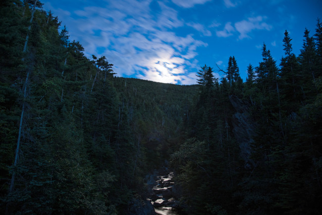 Обои картинки фото природа, реки, озера, утро