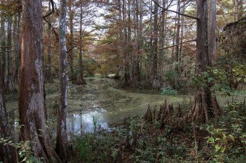 Картинка природа реки озера простор