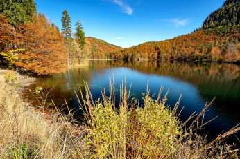 Картинка природа реки озера простор