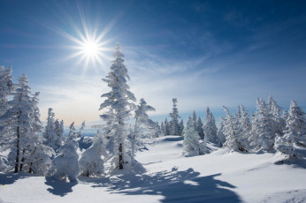 Картинка природа зима простор