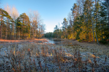 Картинка природа реки озера простор