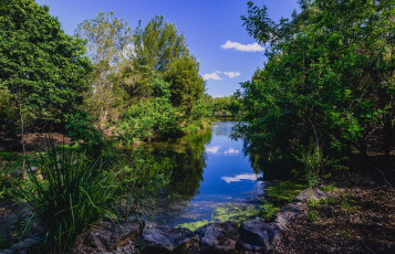 Картинка природа реки озера простор