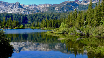 Картинка природа реки озера простор