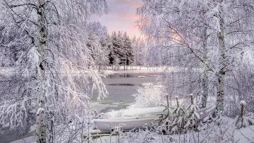 Картинка природа зима простор